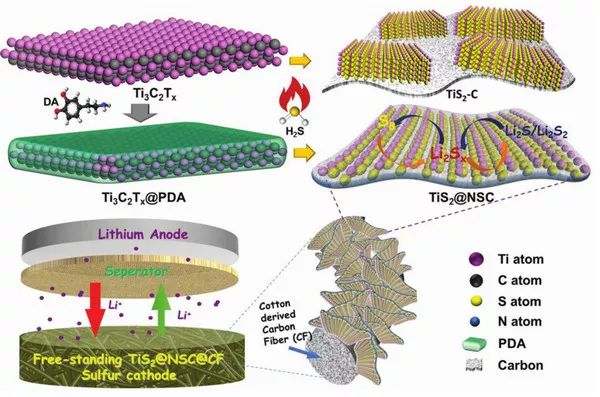 【电池】昆士兰大学王连洲团队最新AEM：N，S共掺杂三明治状超薄TiS2纳米片助力锂硫电池