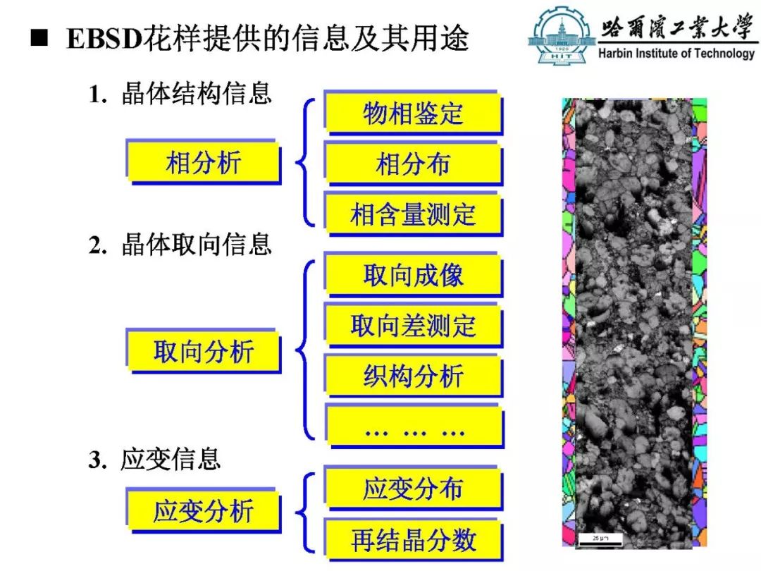 快看这里丨高效撰写毕业论文之Origin快速制图