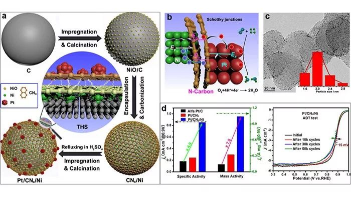 南大丁维平团队：极具优势的新型三元异质结构低铂催化剂-Pt/CNx/Ni