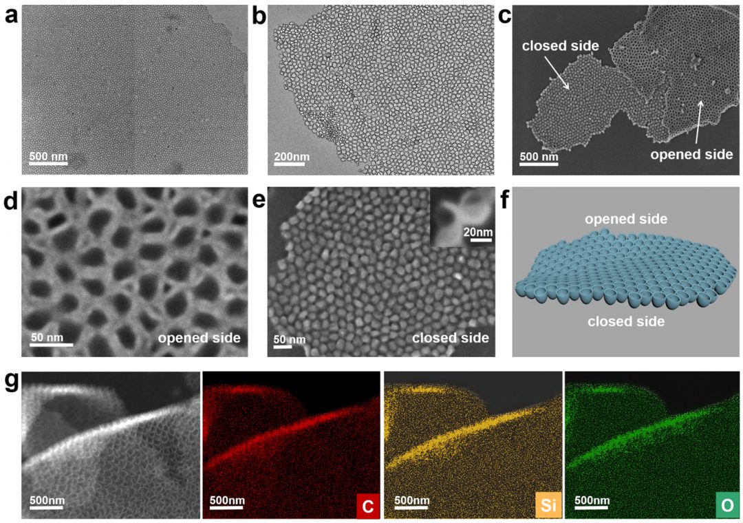 赵东元院士，最新JACS！