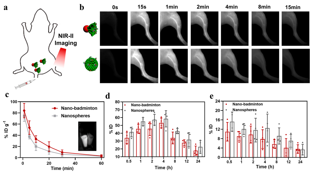 ​赵东元院士，最新JACS！