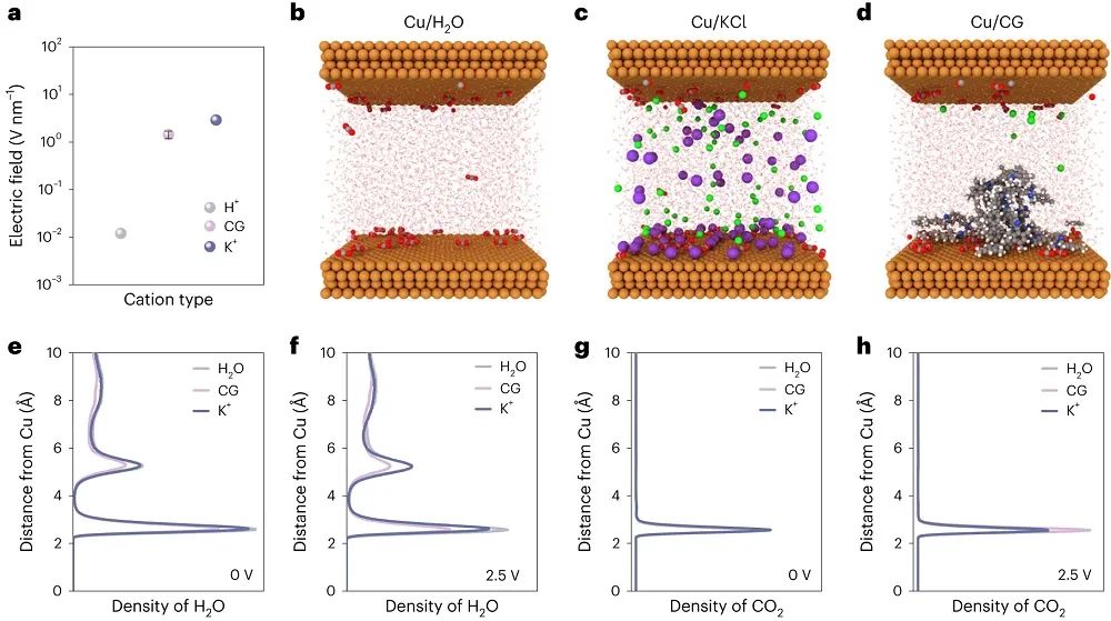 院士联合出击！多伦多大学/奥克兰大学最新Nature Catalysis！