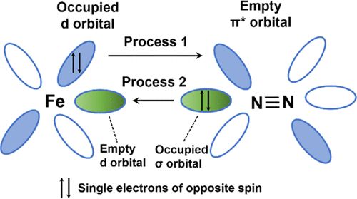 【计算+实验】案例解读：ACS Catalysis、EES、AM、Angew等8篇最新顶刊！