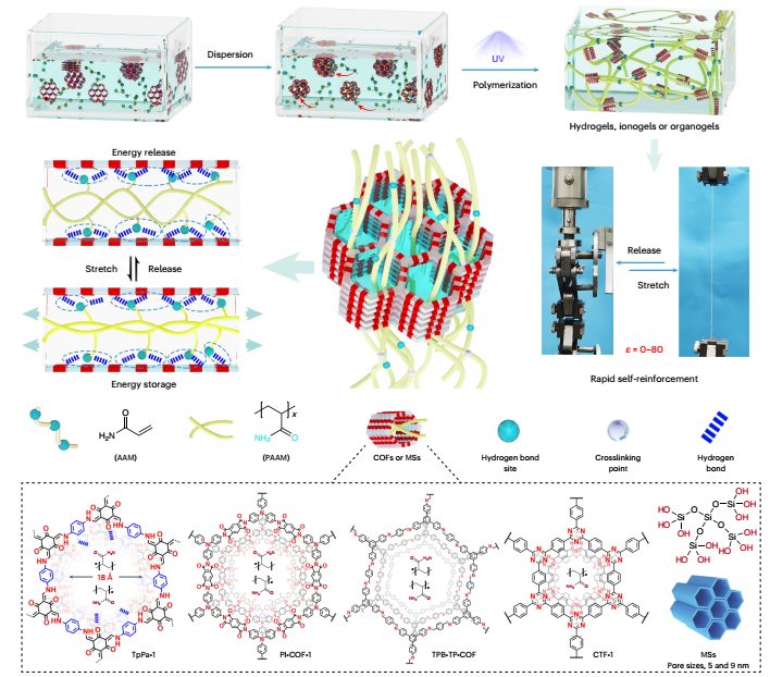 新方法！苏州大学最新Nature Materials，解决重大难题！