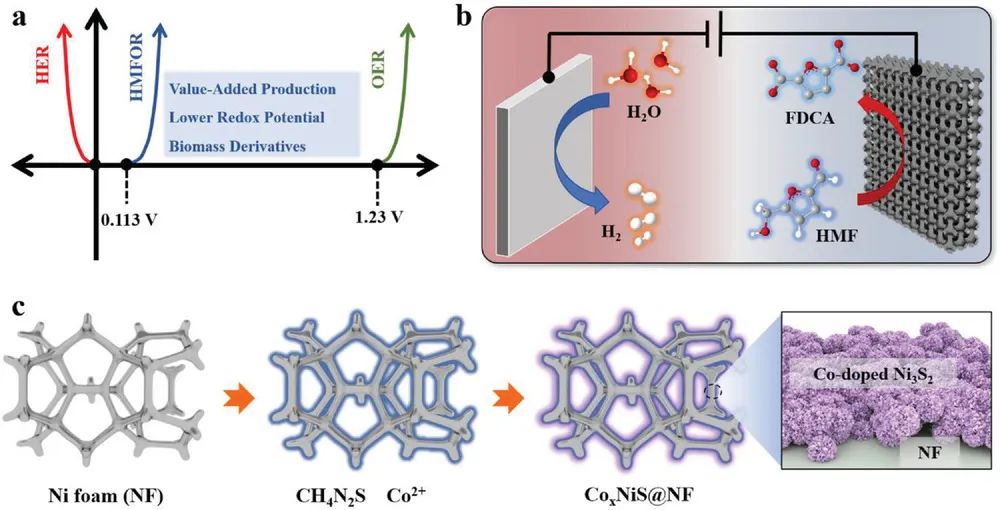 天津理工王成Adv. Sci.：共掺杂Ni3S2催化剂高效电氧化5-羟甲基糠醛：有望在工业级电流密度下生产H2