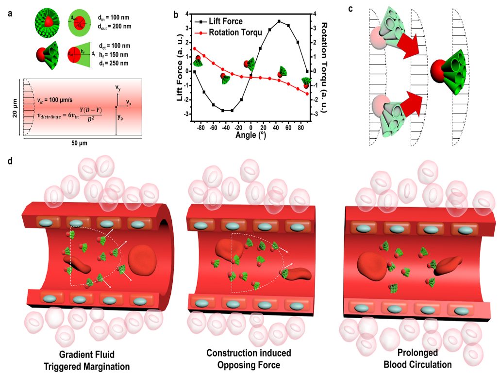 ​赵东元院士，最新JACS！