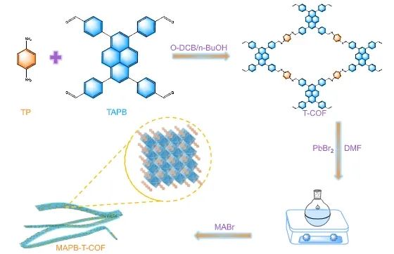 福州大学ACS Catalysis：构建0D/1D MAPbBr3/COF异质结，实现LED驱动高效S-S耦合反应