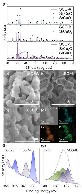 ACS Catal.: Sr稳定配位不饱和Cu位点，增强OD-Cu电催化CO2还原为C2+