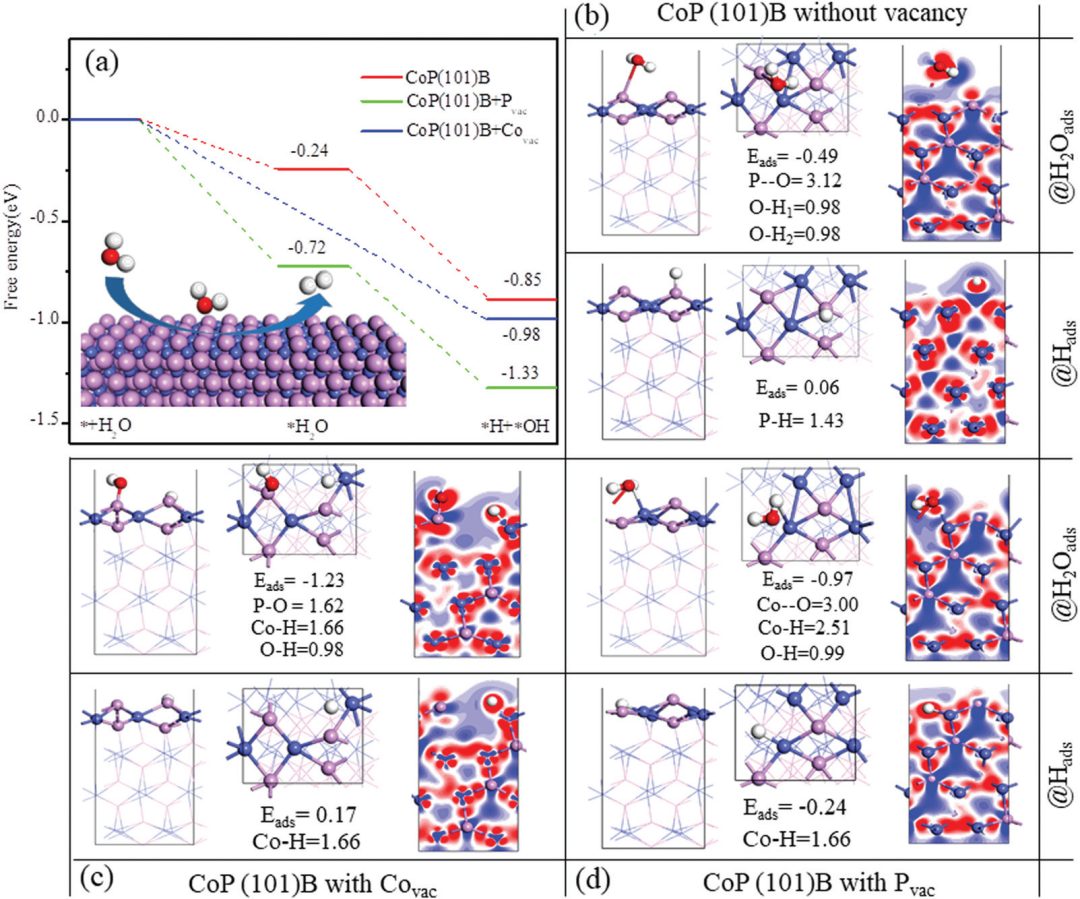 【MS纯计算文章解读】PCCP：磷化钴（CoP）空位对水解析氢活性的影响