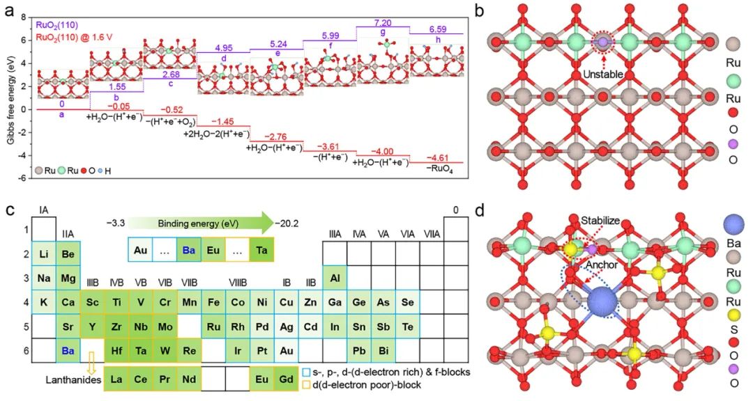 JACS后，又发Nature子刊！KAUST卢旭团队：阴离子保护，助力钌基质子交换膜电解水制氢