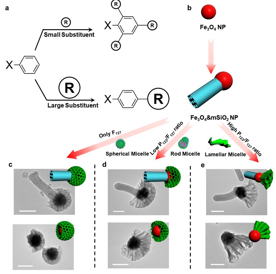 ​赵东元院士，最新JACS！