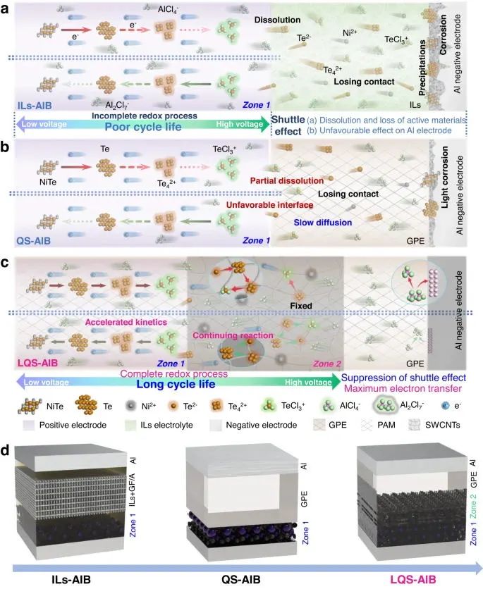 ​北科焦树强等，最新Nature子刊！