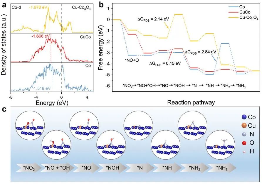 计算日报||顶刊集锦：JACS/Angew/AM/ACS Catal./Small等计算成果