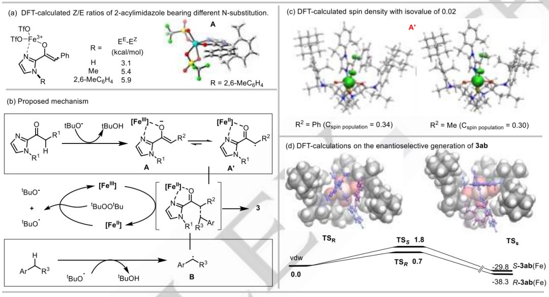 Angew：铁催化，不对称α-烷基化新领域：2-酰基咪唑脱氢自由基交叉偶联