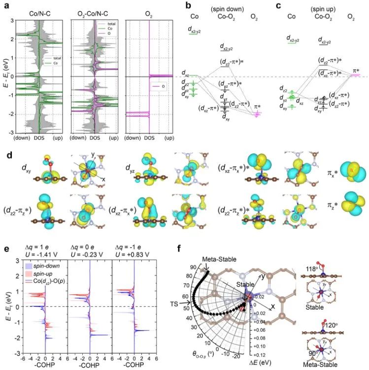 南开大学​JACS：M-N-C单原子催化剂中电势驱动的吸附能反转