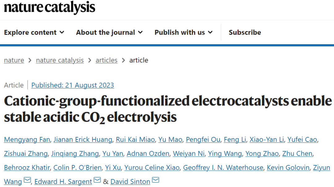 院士联合出击！多伦多大学/奥克兰大学最新Nature Catalysis！