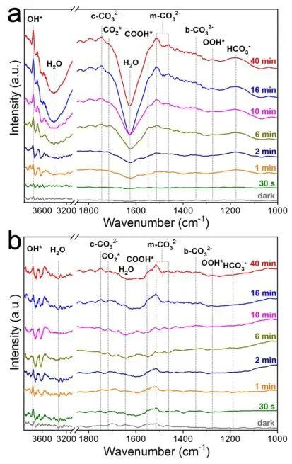 王心晨/汪思波，最新JACS！