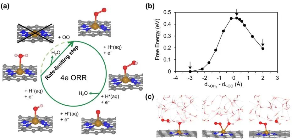 计算日报||顶刊集锦：JACS/Angew/AM/ACS Catal./Small等计算成果