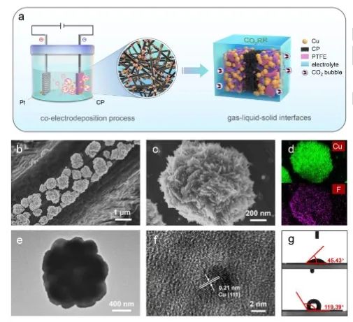 催化日报||顶刊集锦：Nature子刊/JACS/Angew./EES/ACS Nano等成果