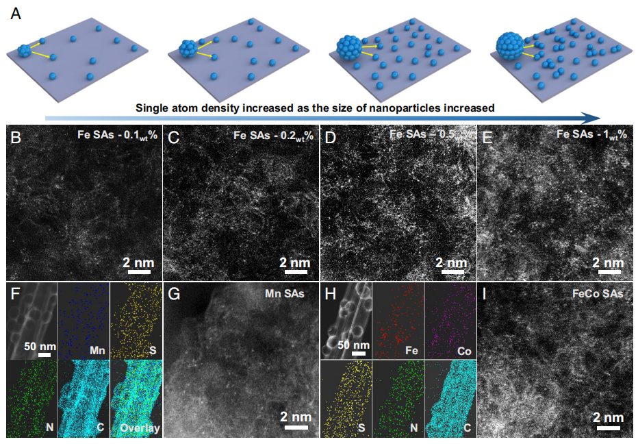 最新PNAS！单原子催化剂，再获突破！
