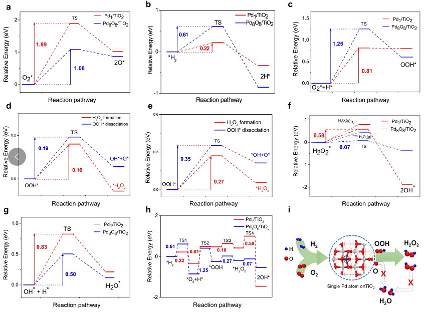 最新【计算+实验】案例解读：Nature子刊、JACS 、Angew、ACS Catalysis、ACS Nano等