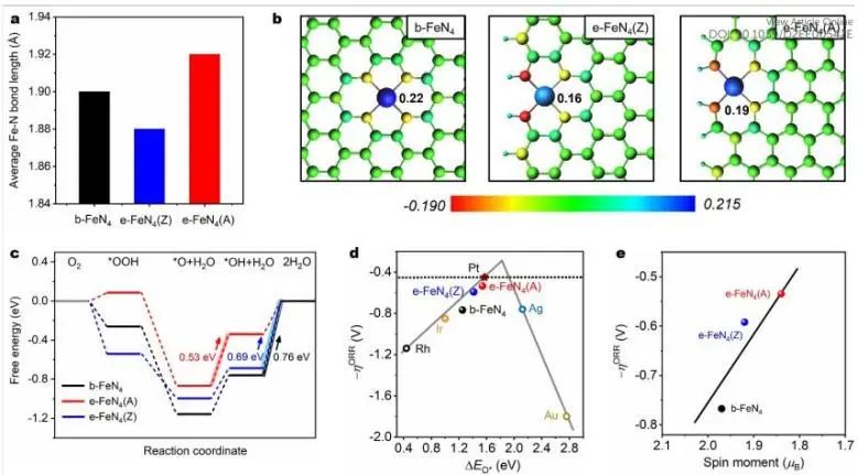 冯新亮/武刚等EES: 性能稳定且高效！表面单金属FeN4活性位点用于促进ORR