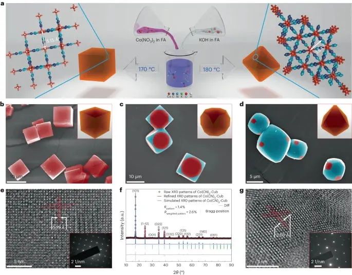 北化工，最新Nature Catalysis！