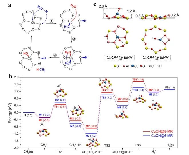 催化日报||顶刊集锦：Nature子刊/JACS/Angew./EES/ACS Nano等成果