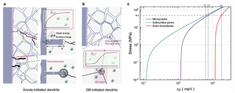 【纯计算】港中文Zhengcheng Gu教授AEM：全固态锂金属电池中阳极引发和晶界引发枝晶形成机制的研究进展