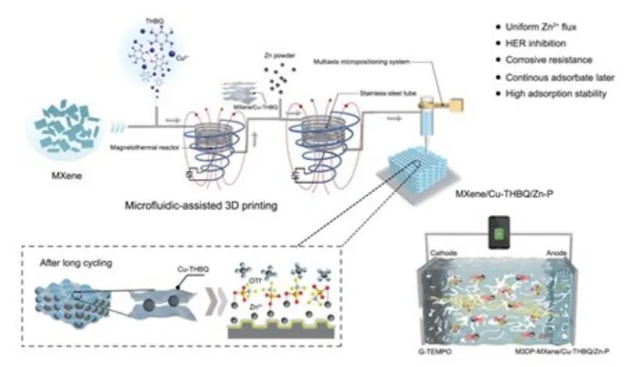 ​扬大庞欢AM：微流控辅助3D打印二维导电MOF/MXene异质结构用于高稳定性有机锌电池