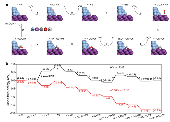 【计算+实验】案例解读：ACS Catalysis、EES、AM、Angew等8篇最新顶刊！