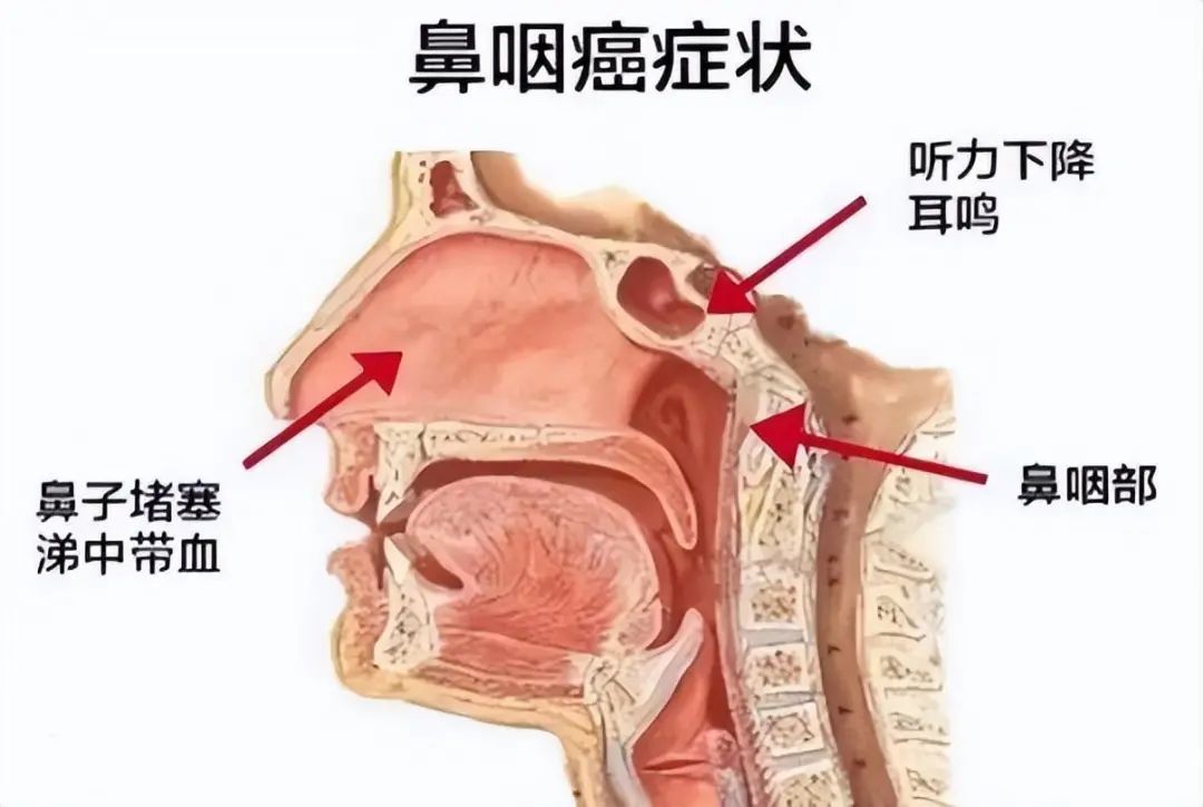 双一流高校女教授和校门口摆摊的丈夫，女教授：他都是为了我