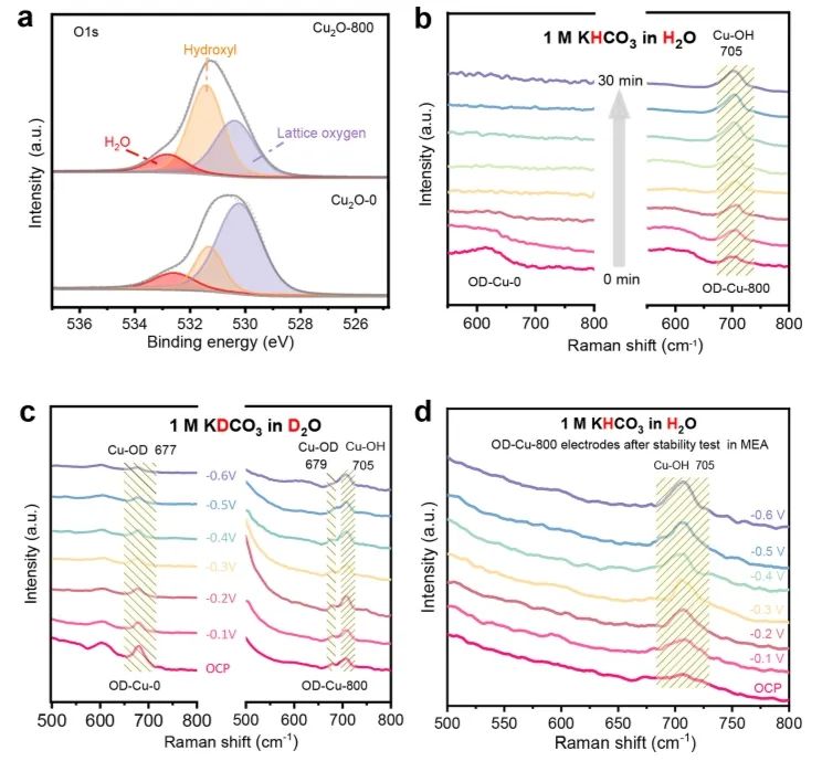 ​李春忠/李会会/李昊ACS Catalysis：Cu基电催化剂表面羟基化，促进电化学还原CO2