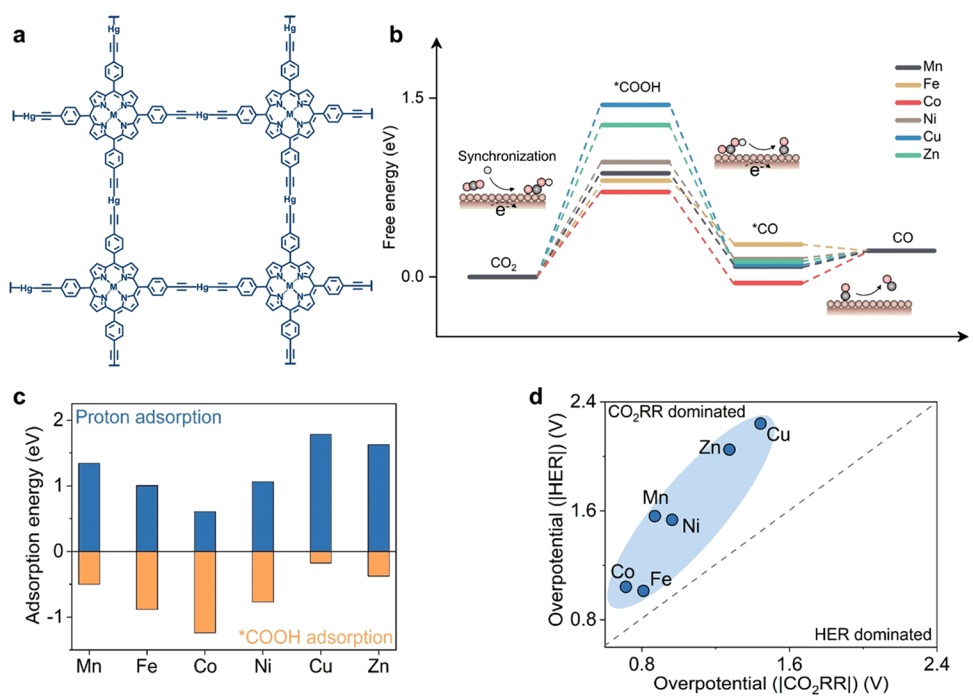 【计算+实验】最新顶刊：JACS、Nature子刊、AFM、Angew.、Nano Research等成果集锦！