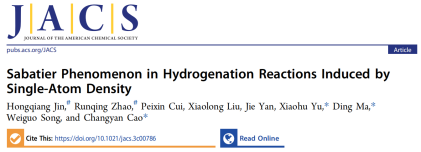 曹昌燕/马丁/于小虎JACS：加氢反应中单原子密度诱导的Sabatier现象