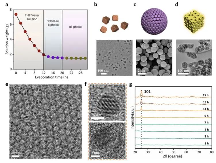 赵东元院士/兰坤教授，最新JACS！