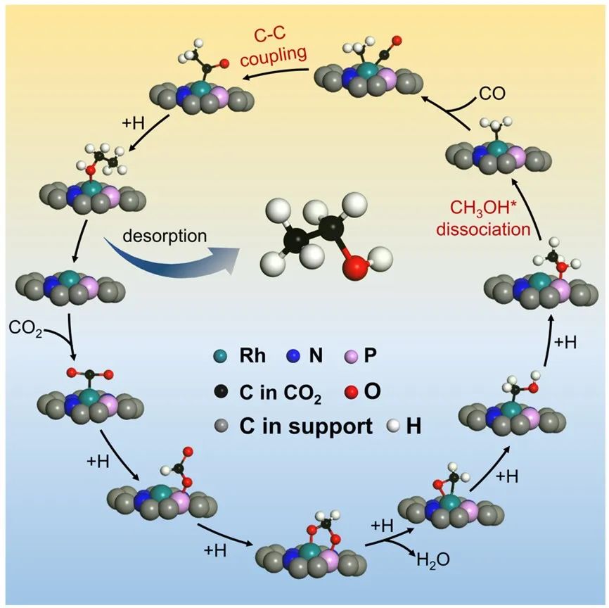 江南大学刘小浩团队ACB：磷的亲氧性强化C-O键解离助力CO2加氢从甲醇到乙醇可切换合成