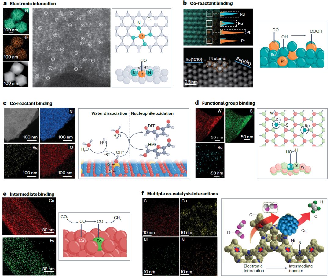 IF＞83！Nat. Rev. Mater.超级综述：单原子催化，载体选择是一门艺术！