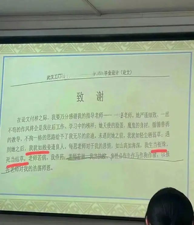 “贱妾逢良人”，湖北一论文致谢，差点让导师挨处分，“这辈子都抬不起头”……