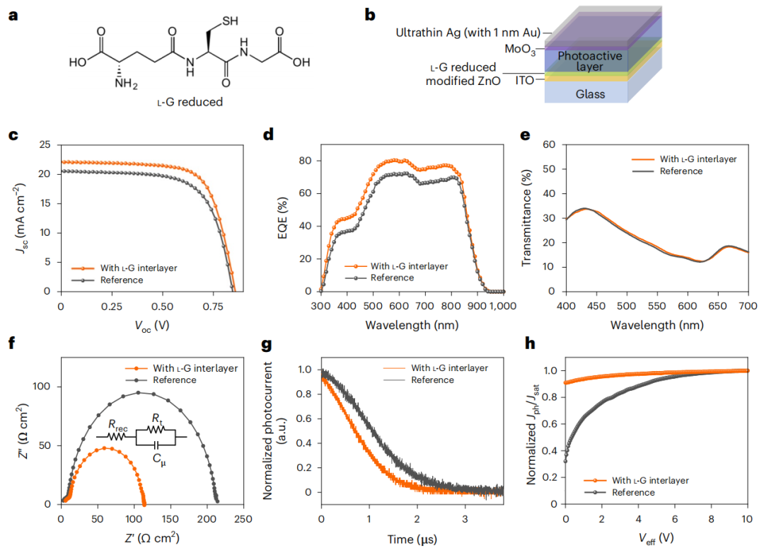 重大突破！UCLA杨阳最新Nature Sustainability！