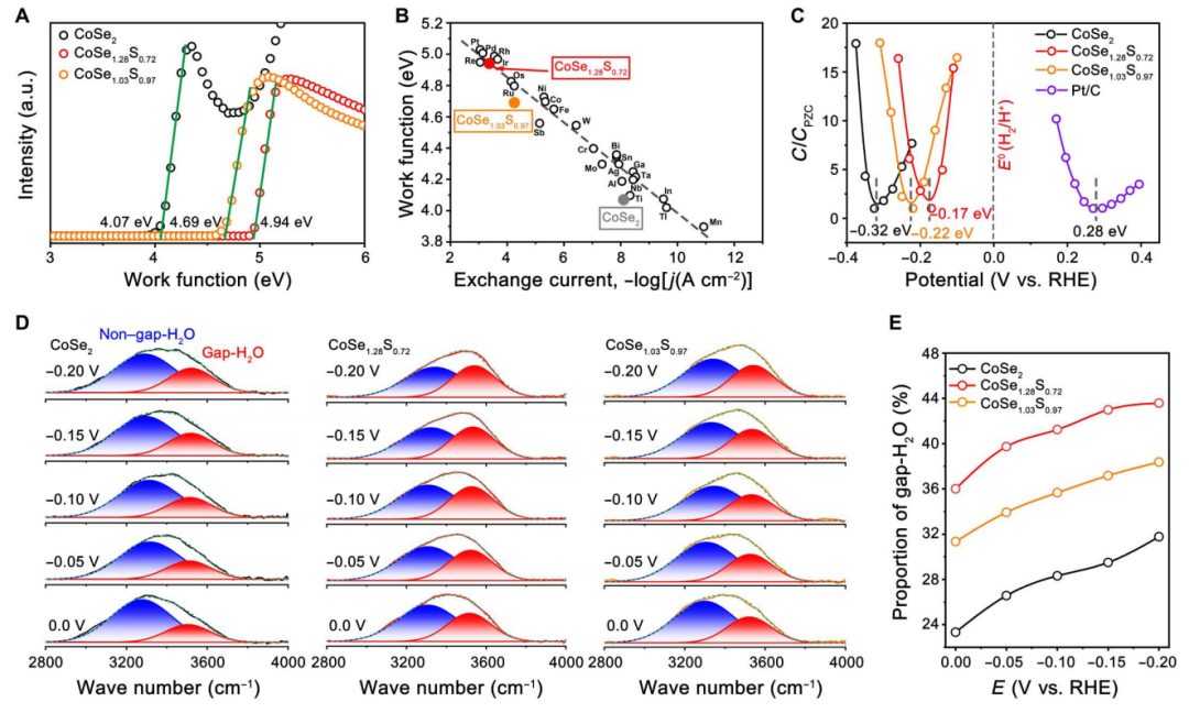 中科大高敏锐：最新Science子刊！