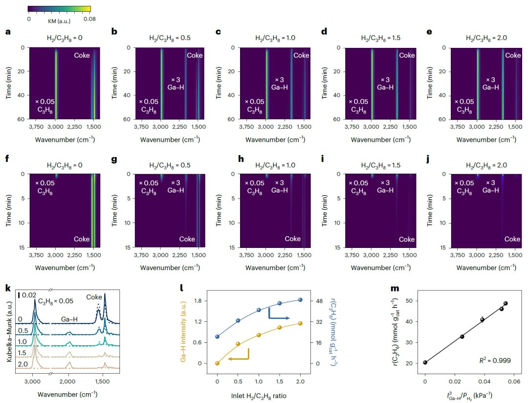 巩金龙教授，最新Nature Chemistry！