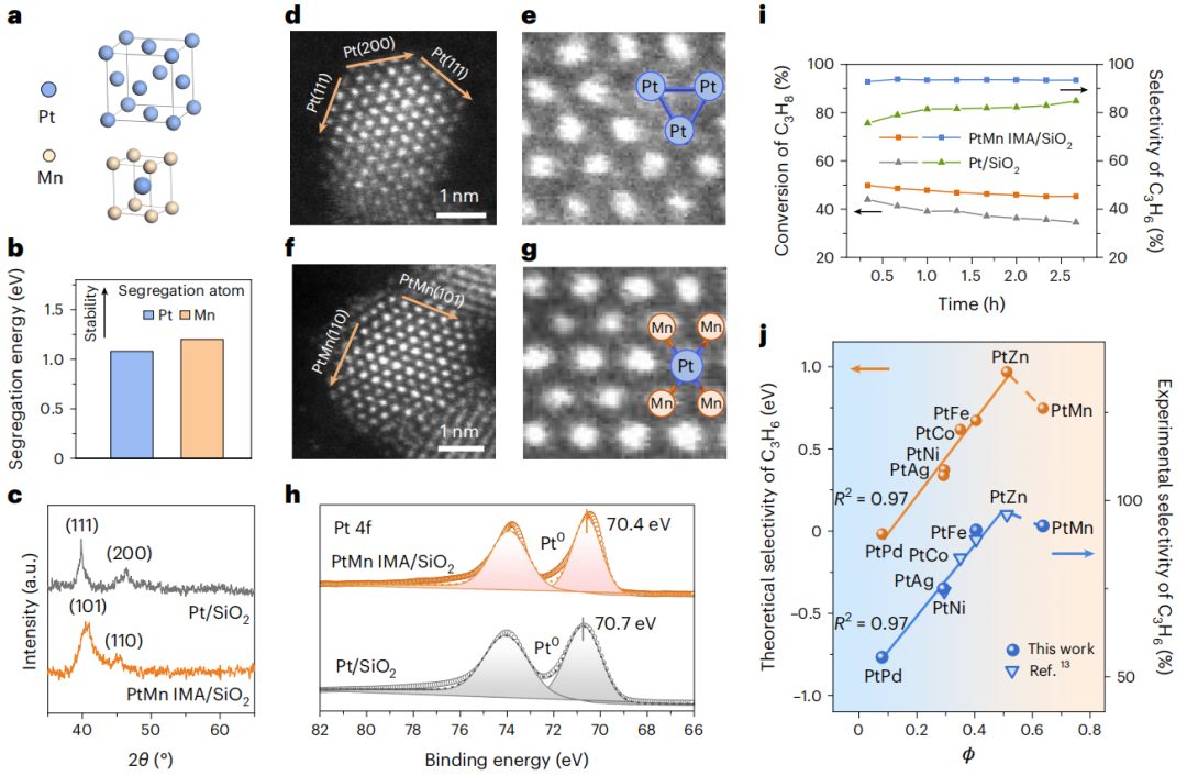 “试错”到“一键筛选”！天津大学巩金龙教授最新Nature Nanotechnology！