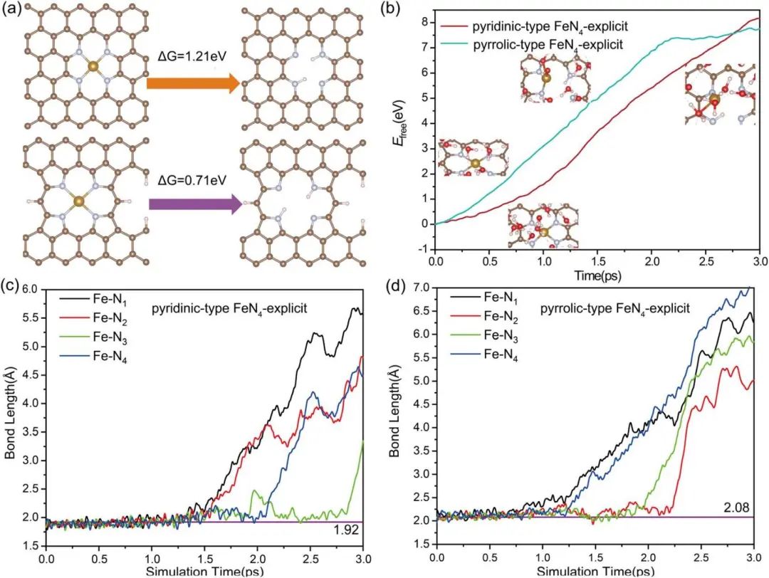 【纯计算】Chem. Sci.：阐明Fe–N–C中Fe剥离机制：氮配位和质子化对其在ORR中的动态稳定度