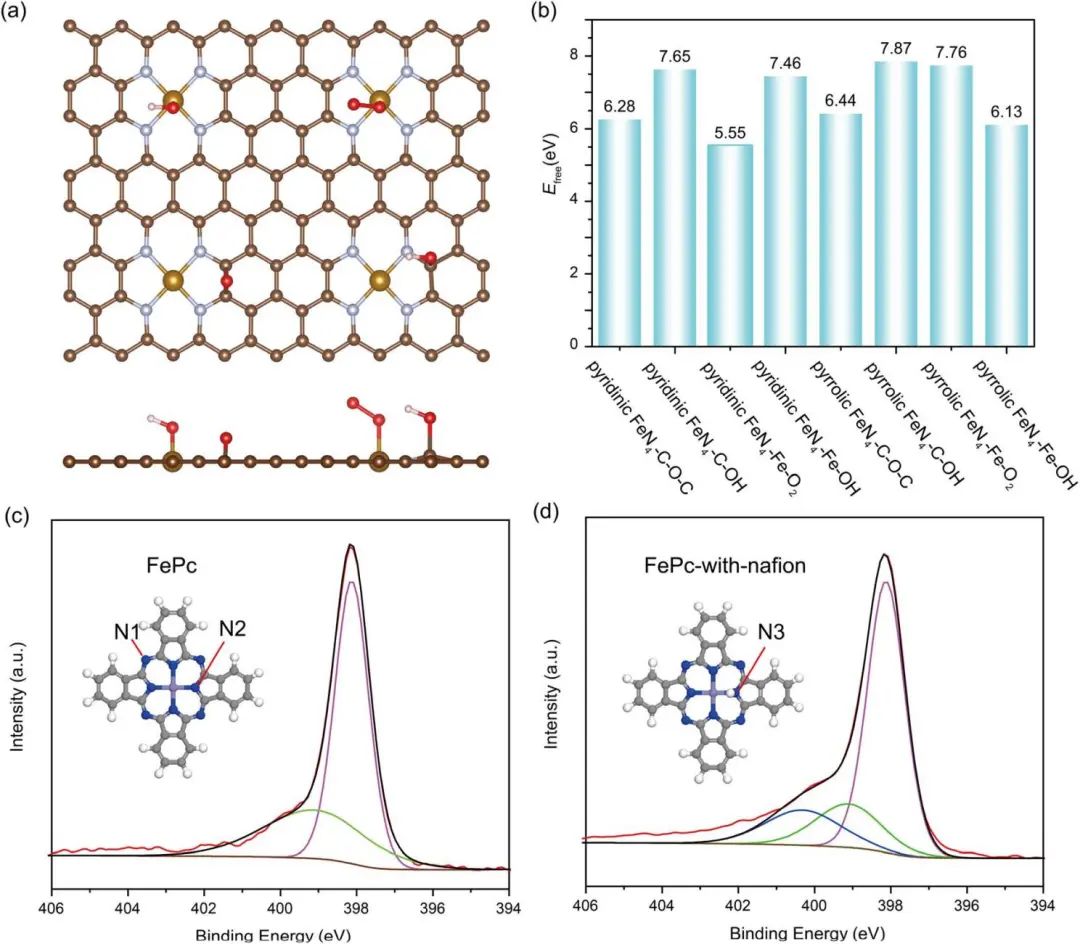 【纯计算】Chem. Sci.：阐明Fe–N–C中Fe剥离机制：氮配位和质子化对其在ORR中的动态稳定度