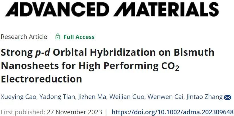 山东大学AM：强p-d轨道杂化的铋纳米片用于高效CO2电还原