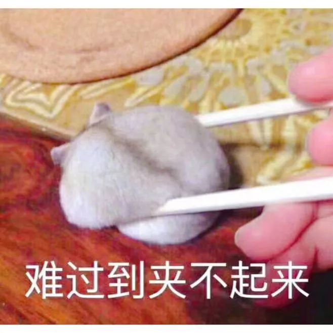 博士师弟：实验室发了50篇SCI的菌，被我一锅端了...