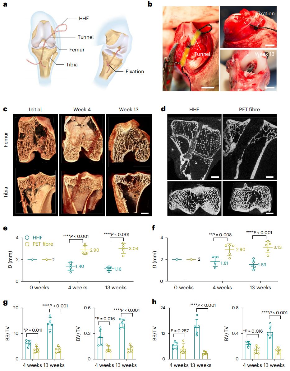 彭慧胜教授，2023年首篇Nature Nanotechnology！