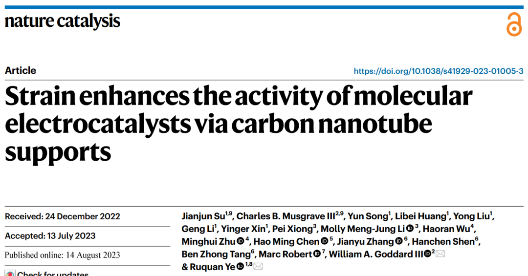 【GC-DFT+实验】叶汝全团队Nature Catalysis：给单原子催化剂施加一点应变，效果更好！