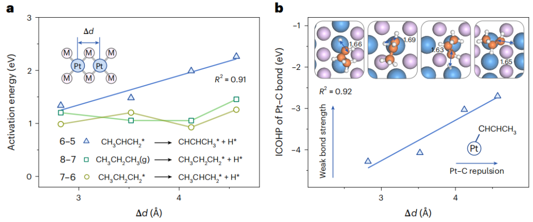 “试错”到“一键筛选”！天津大学巩金龙教授最新Nature Nanotechnology！